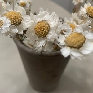 37- cream shorts